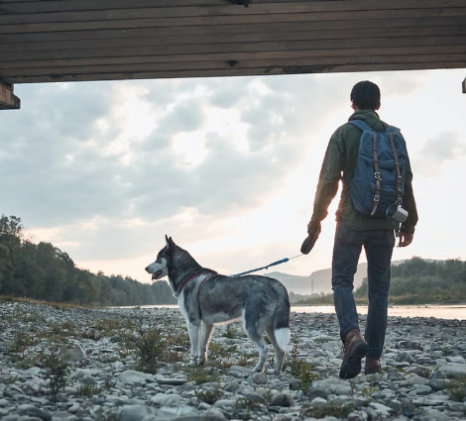 Personne vue de dos qui marche avec son chien sur un chemin de randonnée.